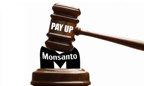 Monsanto Ordered to Pay $46.5 Million in PCB Lawsuit in Rare Win for ...