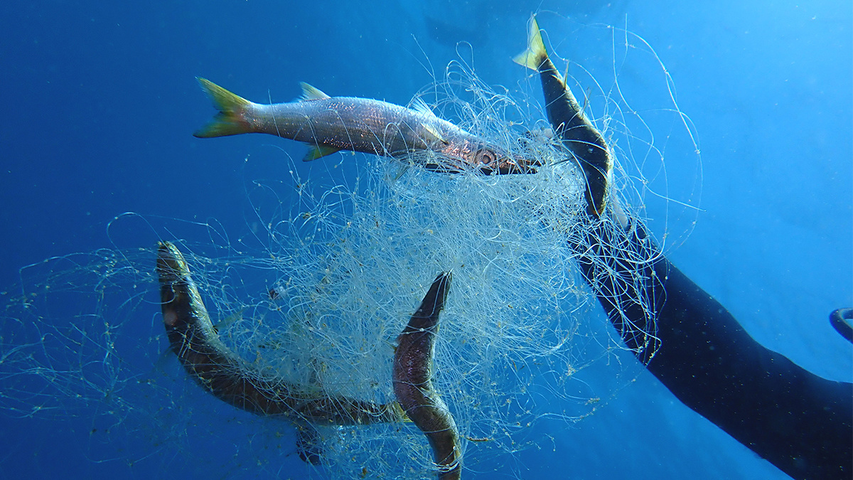 New life for fishing gear aims to help address ocean plastic pollution -  The New Lede