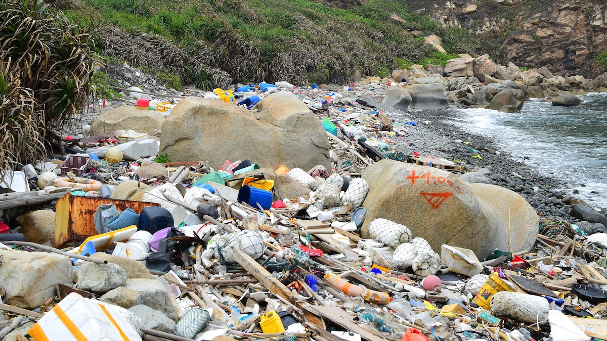 Plastic Pollution Robs Us of Our Wildlife: So Let's Change – HAY
