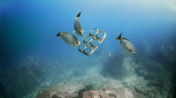 The 5 most inspiring campaigns that fight plastic pollution | CuCo Creative