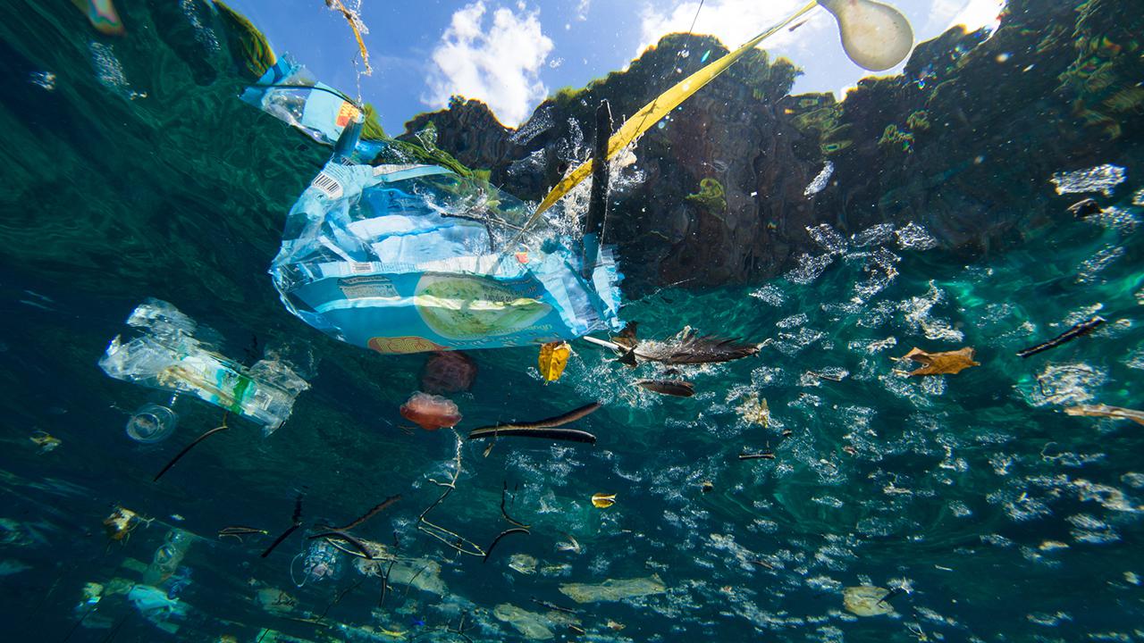 How innovative fishing gear will help clean the ocean