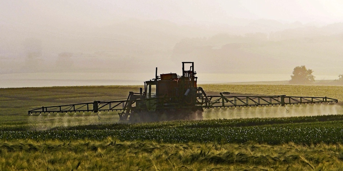 Why Is Glyphosate Sprayed on Crops Right Before Harvest? - EcoWatch