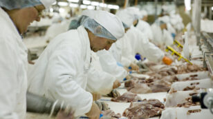 Meat Processing Plants Close as Working Conditions Encourage Spread of Coronavirus