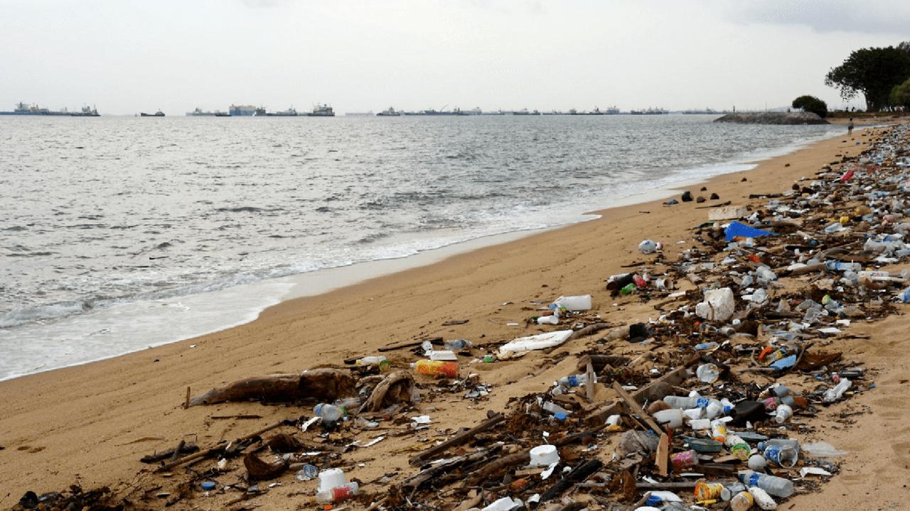 REPORT: Environmental Justice Impacts of Marine Litter and Plastic Pollution