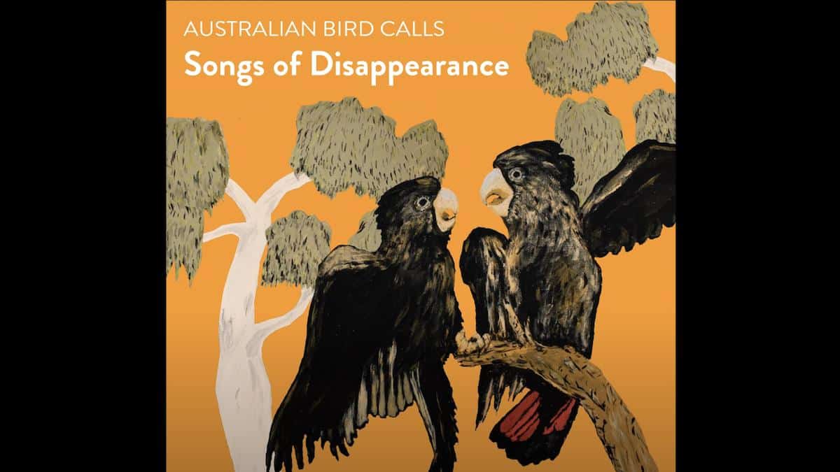 A Collection of Bird Climbs Australia's Music Charts - EcoWatch