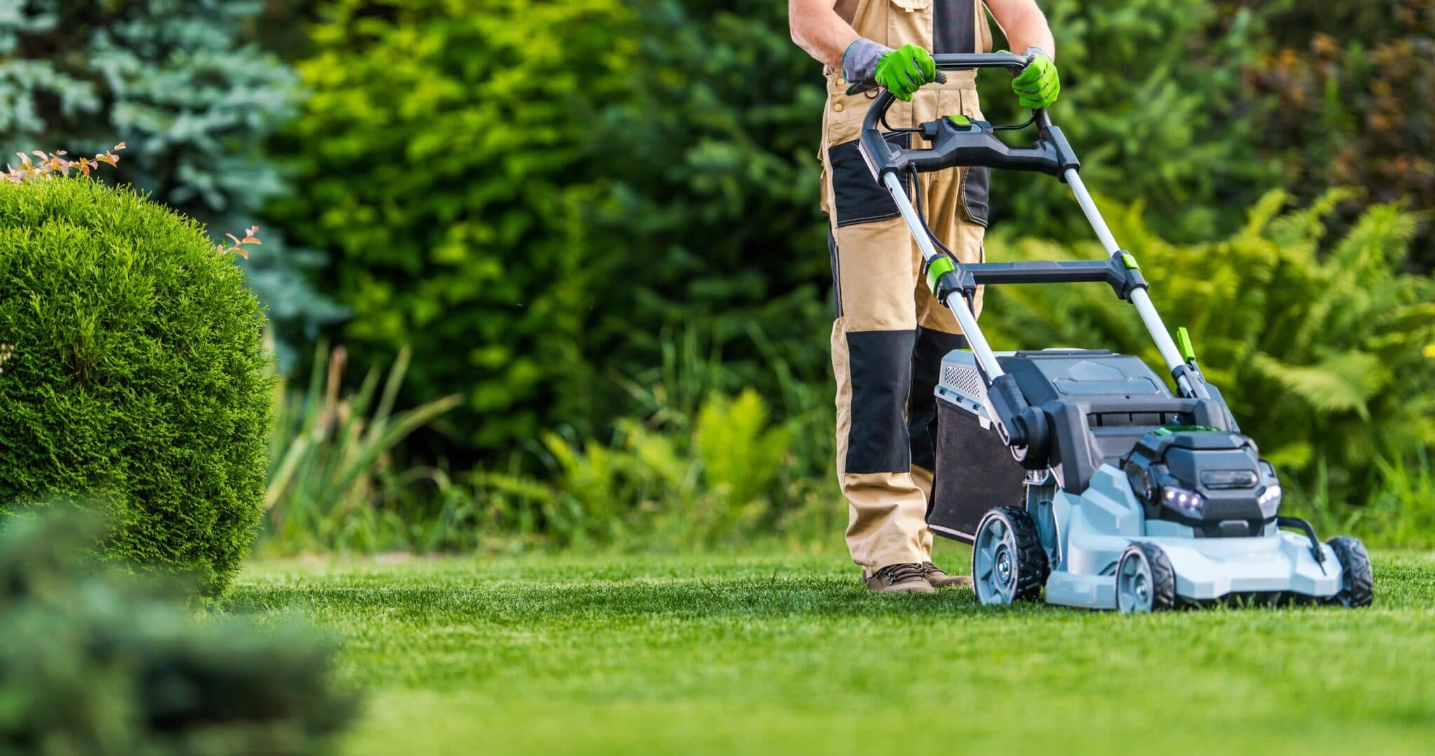 Budget-friendly lawn and garden equipment