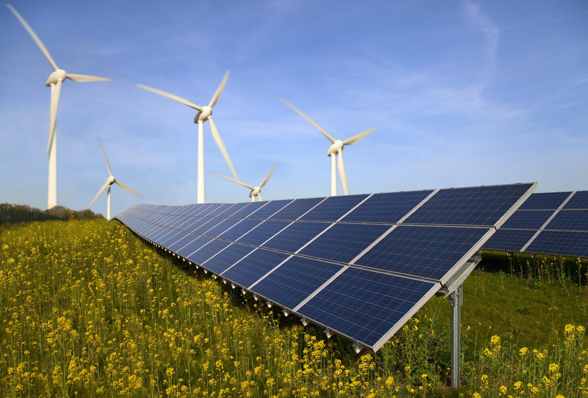 Solar Vs. Wind Power: Which Energy Is Best? - EcoWatch