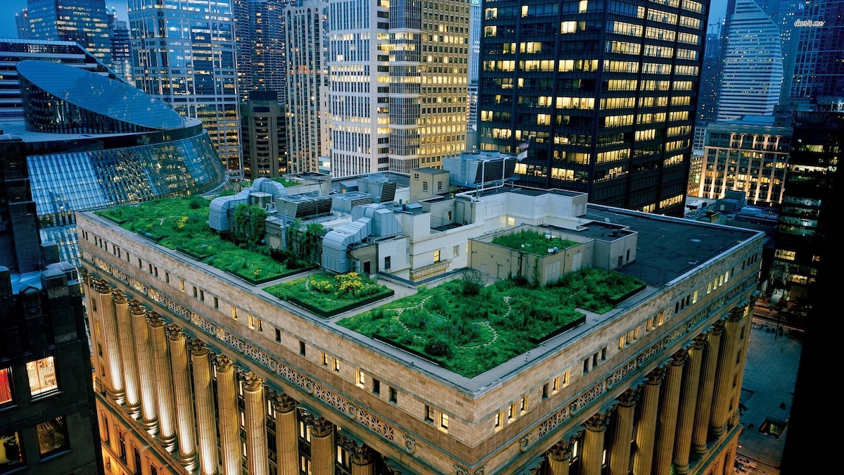 Rooftop Gardens Can Help Alleviate Heat in Cities, Study Finds - EcoWatch