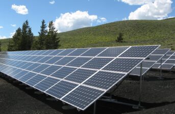 What are Ground-Mounted Solar Panels? (2024 Guide)