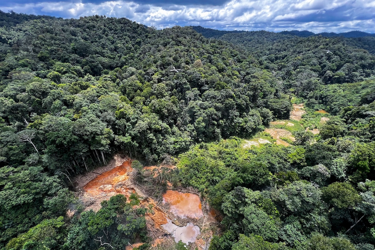 https://www.ecowatch.com/wp-content/uploads/2023/05/brazil-amazon-rainforest.jpg