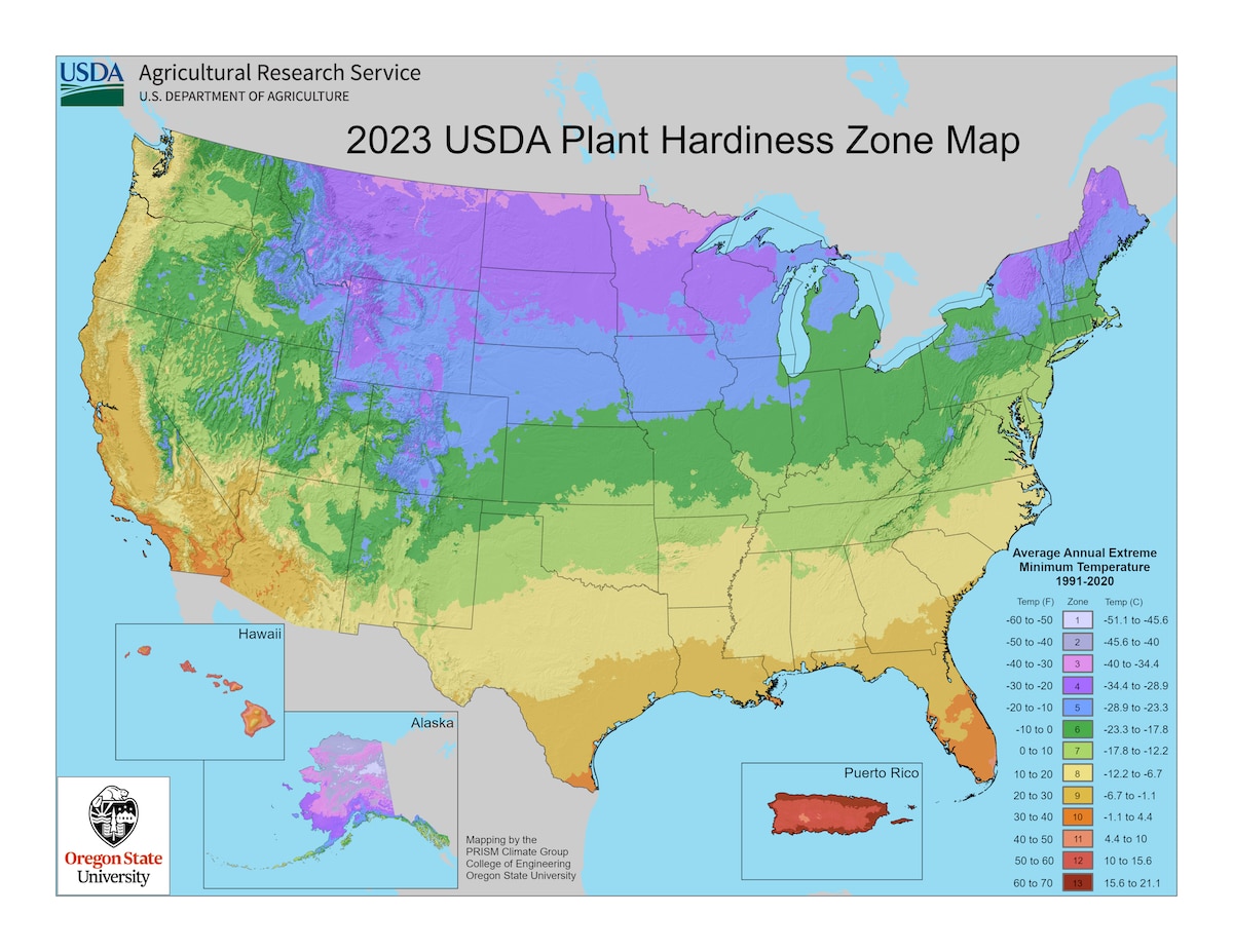 Usda Plant Hardiness Zone Map 