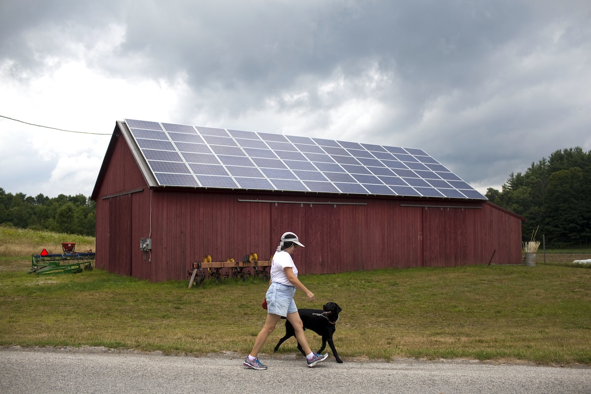 A woman walks her dog in front of a barn with solar panels on an organic vegetable farm in Vermont